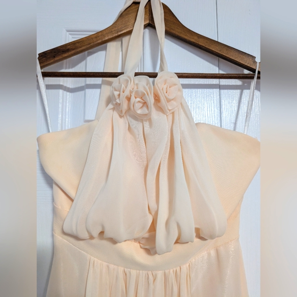 Evening Dress/Gown